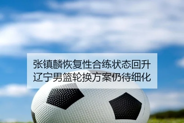 张镇麟恢复性合练状态回升 辽宁男篮轮换方案仍待细化